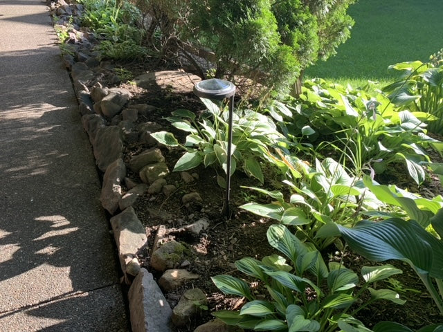 Solar Garden
