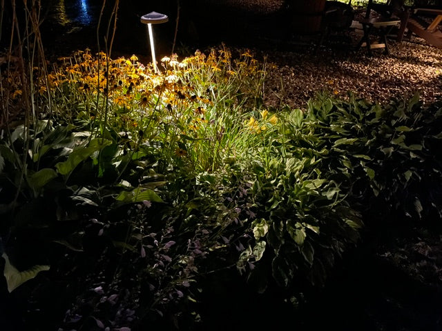 Solar Garden