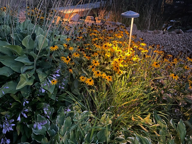 Solar Garden