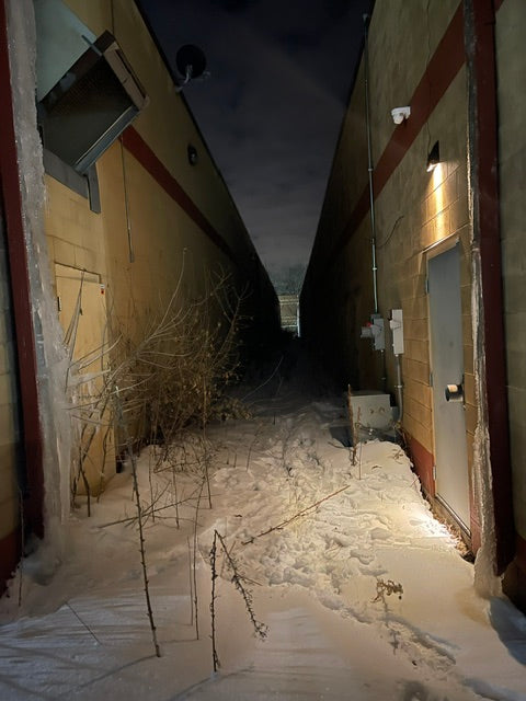 Solar Flood - WallPack