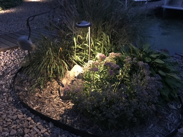 Solar Garden
