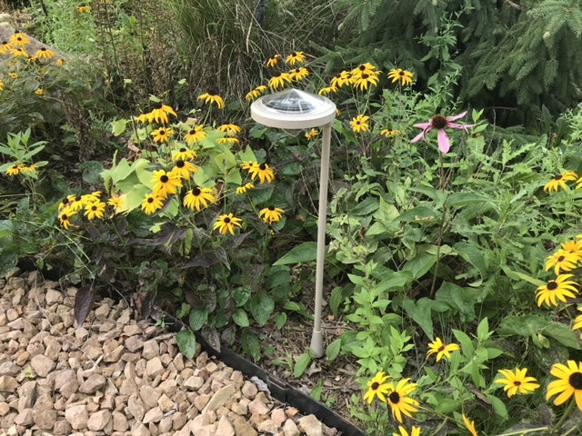 Solar Garden