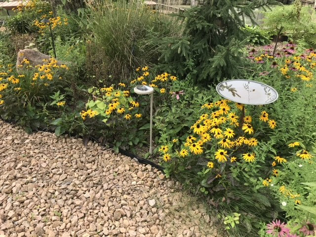 Solar Garden
