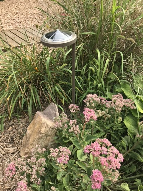 Solar Garden