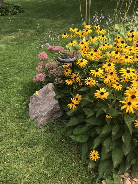 Solar Garden
