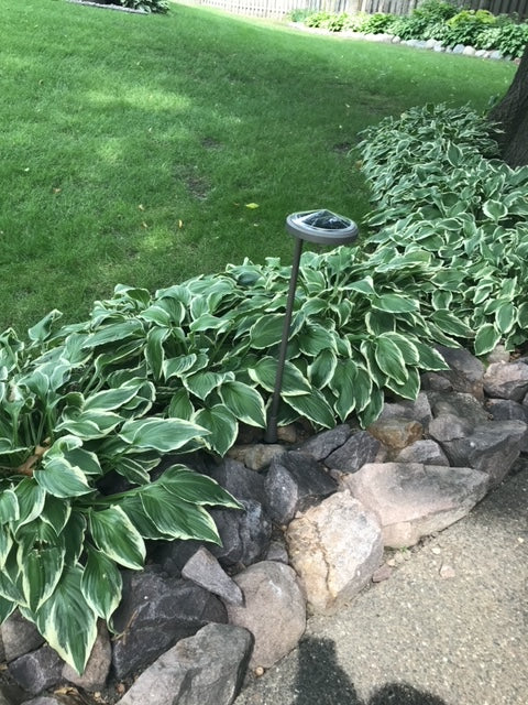 Solar Garden