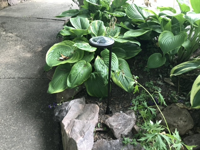 Solar Garden